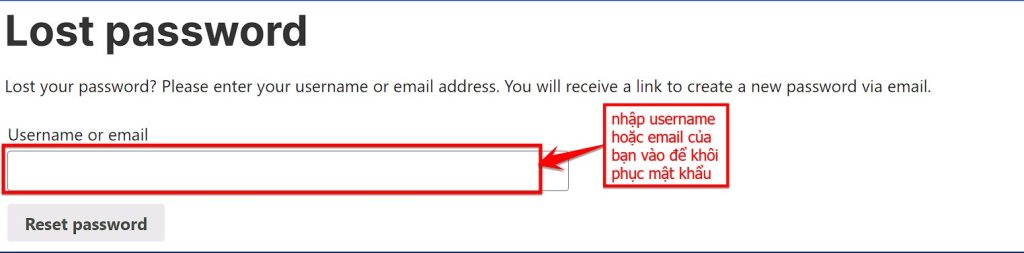 Bạn Nhập Email, Username Và Chọn Reset Password