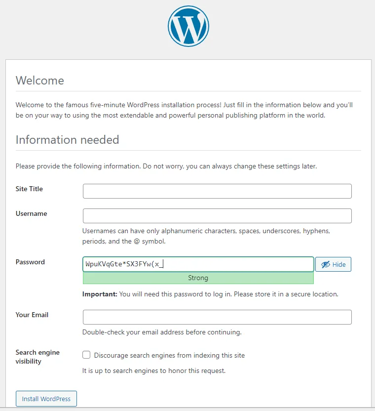 Bạn Hãy Nhập Các Thông Tin Trên Hình Và Chọn Install WordPress