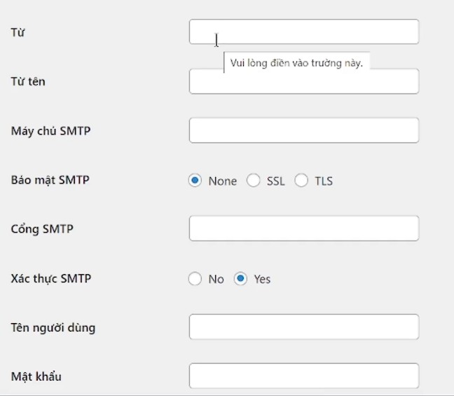 Bạn Hãy Nhập đầy đủ Các Thông Tin để Cấu Hình WP SMTP
