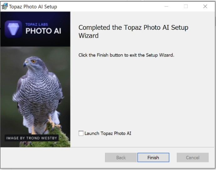 Bảng Completed the Topaz Photo AI Setup Wizard