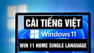 Cài tiếng Việt cho Win 11 Home Single Language như thế nào ?