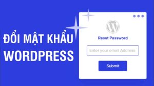 Bật mí 3 cách đổi mật khẩu WordPress đơn giản 2023