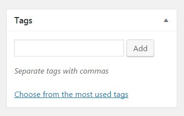 Tags trong tùy chọn đăng bài viết lên WordPress 