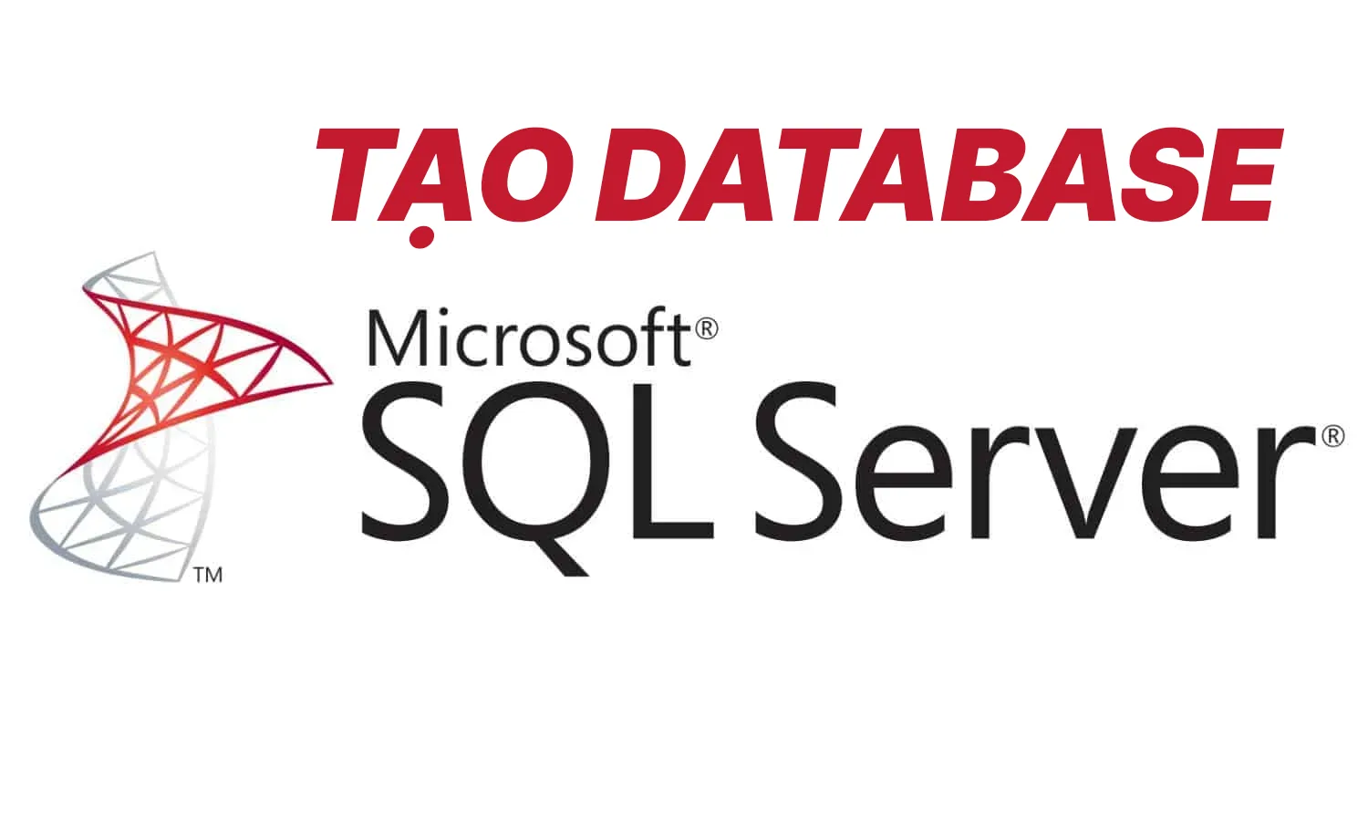 Tao Database Trong SQL Server.webp