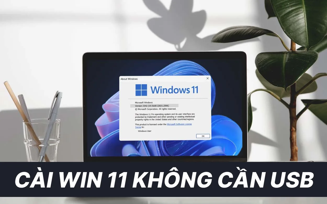 Cài Win 11 Không Cần USB Miễn Phí