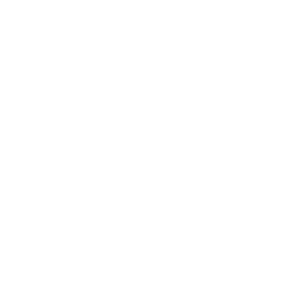 Photoshop Logo